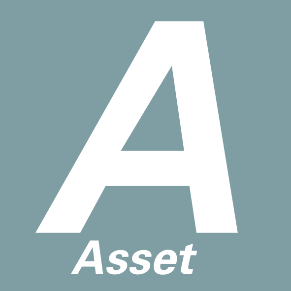 Assets